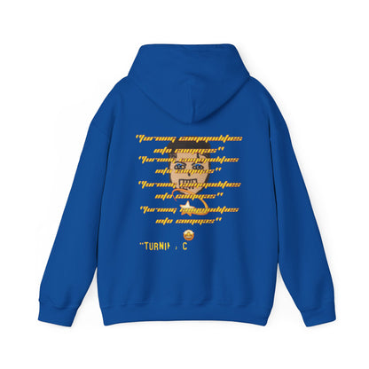 COMMaDiTYbrand *STAMPED" Heavy Blend™ Women's Hooded Sweatshirt